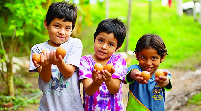 Langkah Aktif dan Partisipatif untuk Tingkatkan Konsumsi Produk Unggas