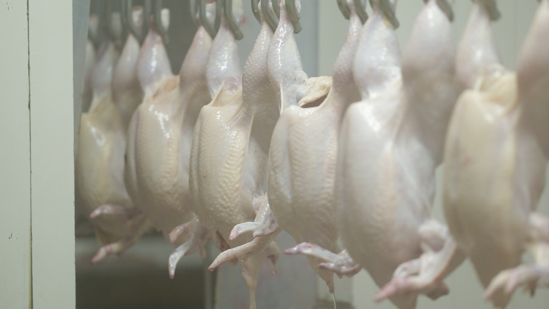 Optimalisasi Higiene & Sanitasi untuk Tingkatkan Kualitas