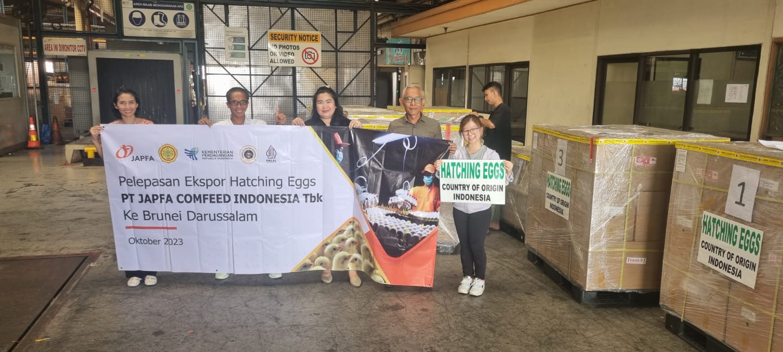 Indonesia Berhasil Tembus Ekspor Telur Tetas Ayam ke Brunei Darussalam
