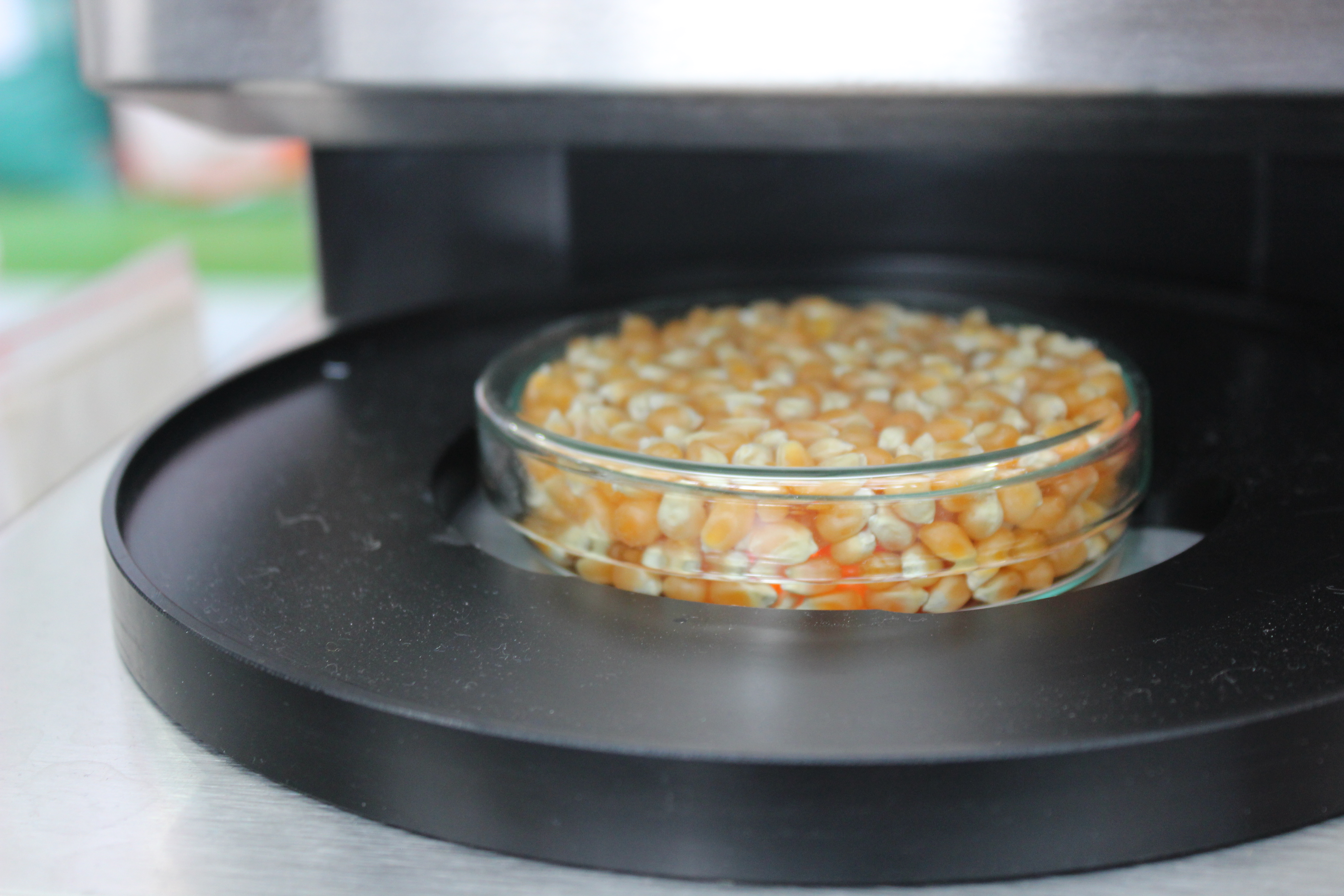 Teknologi Sebagai Penunjang Budi Daya Ayam Ras