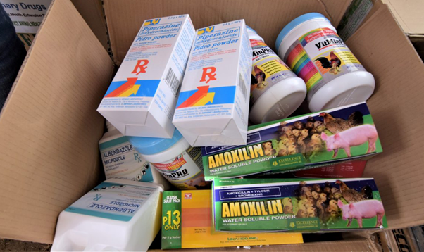 Penggunaan Antibiotika Betalaktam dalam Bidang Perunggasan