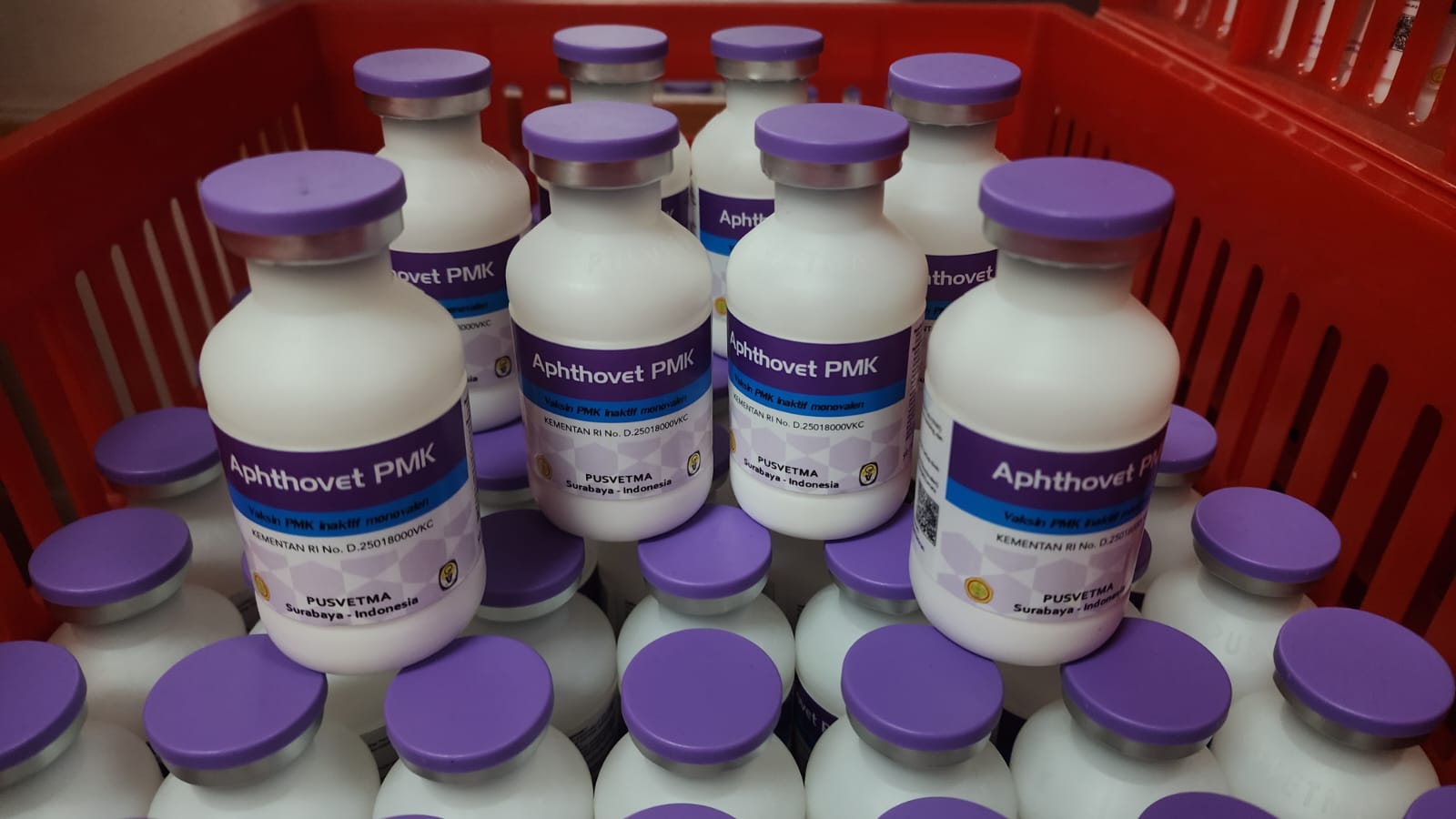 Kendalikan Wabah PMK, Kementan Targetkan Distribusi 4 Juta Dosis Vaksin Lokal