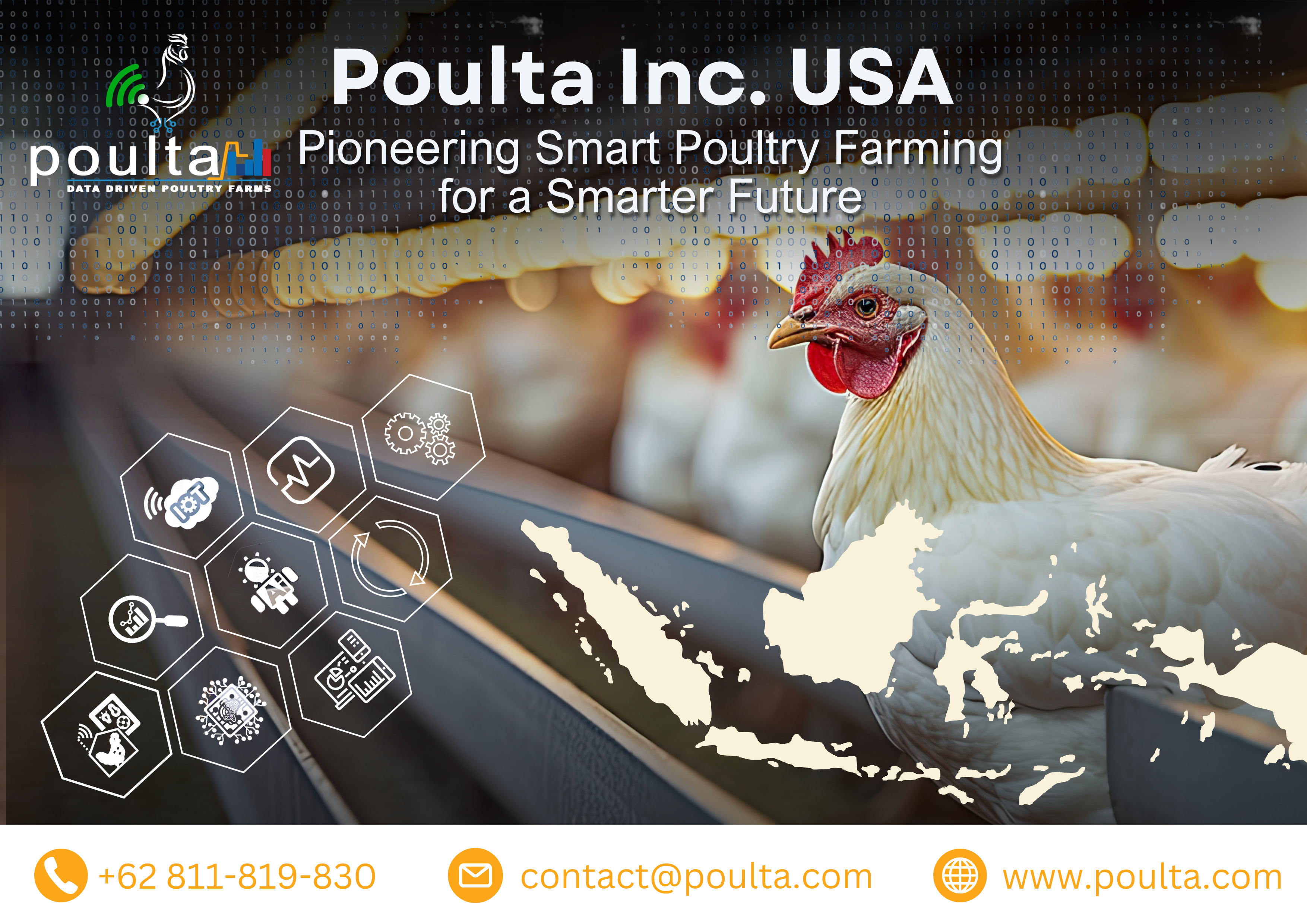 Mendorong Inovasi Unggas: Bagaimana Poulta Inc. Mengubah Industri Secara Global