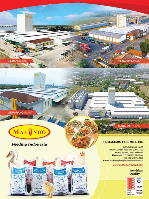 POULTRY-ONLINE-MEI-2025-Malindo