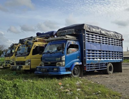 Aksi Mogok Sopir Truk Lumpuhkan Distribusi, Peternak Terdampak