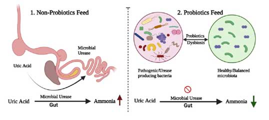 Mengurangi Dampak Global Warming Dengan Probiotik