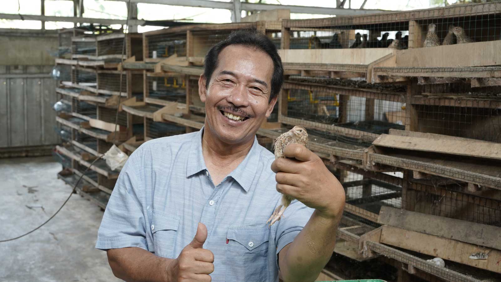 Djadja Suhardja, Teguh dalam Usaha Budi Daya Puyuh