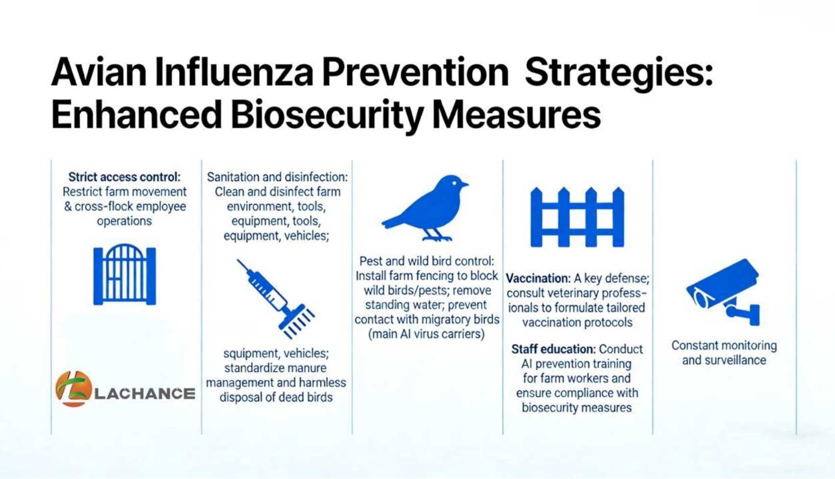 Adv-Shandong-Feb26-3