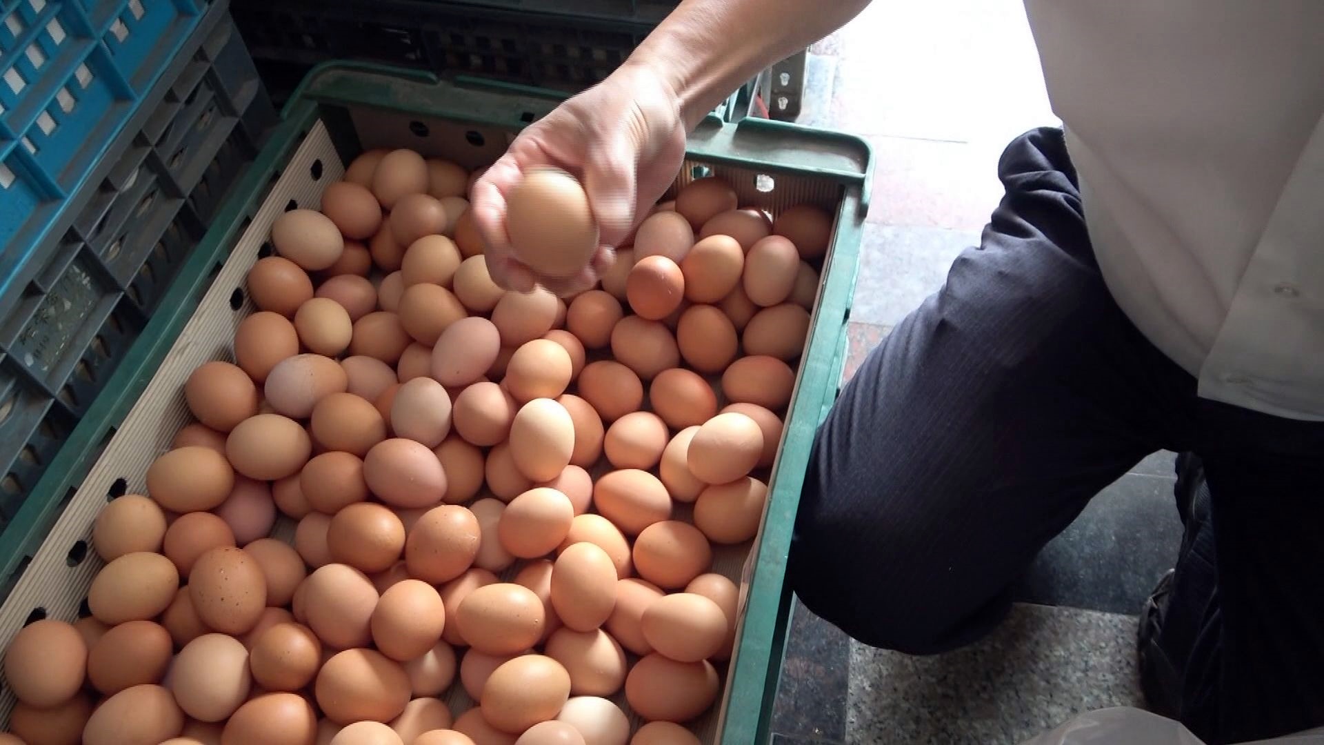 Tekan Disparitas Harga dan Lindungi Peternak, Pemerintah Kaji Zonasi Harga Telur Ayam Ras