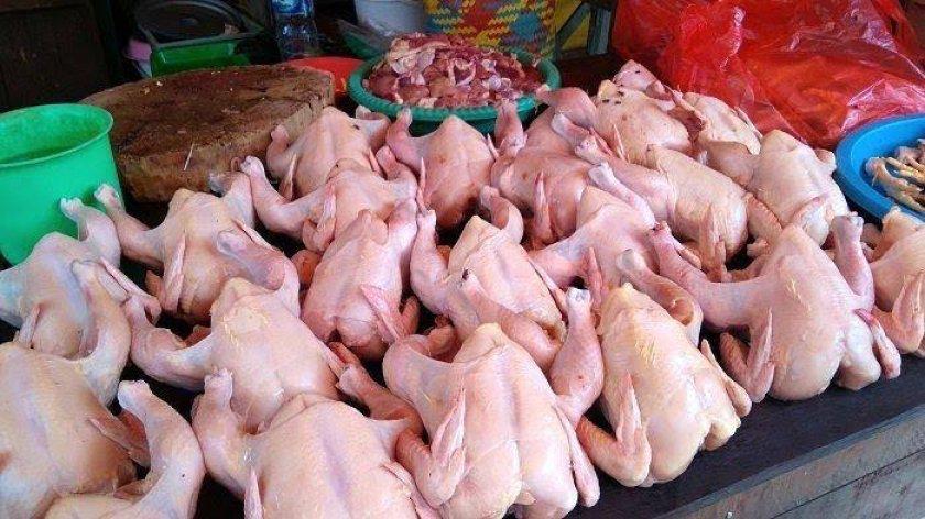 Harga Ayam dan Telur di Bawah Acuan, Pemerintah Siapkan Intervensi