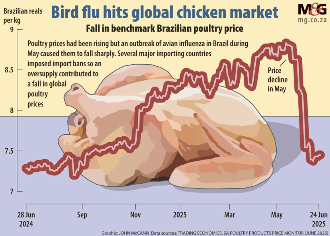 Avian Influenza dan Disrupsi Perdagangan Unggas Dunia