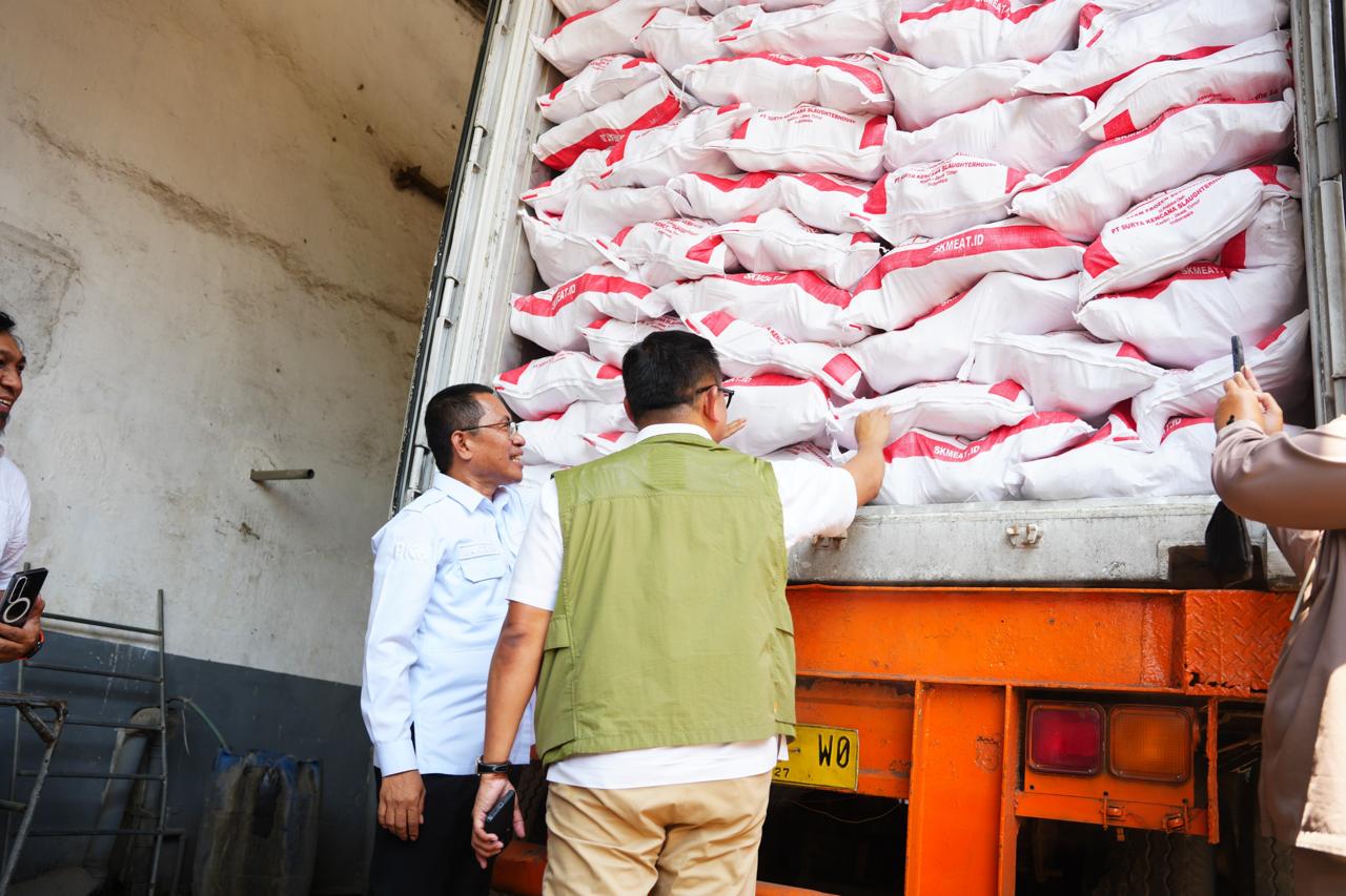 40 Ton Ayam Layer Afkir Jatim Tembus Makassar, Koperasi Perkuat Posisi Tawar Peternak